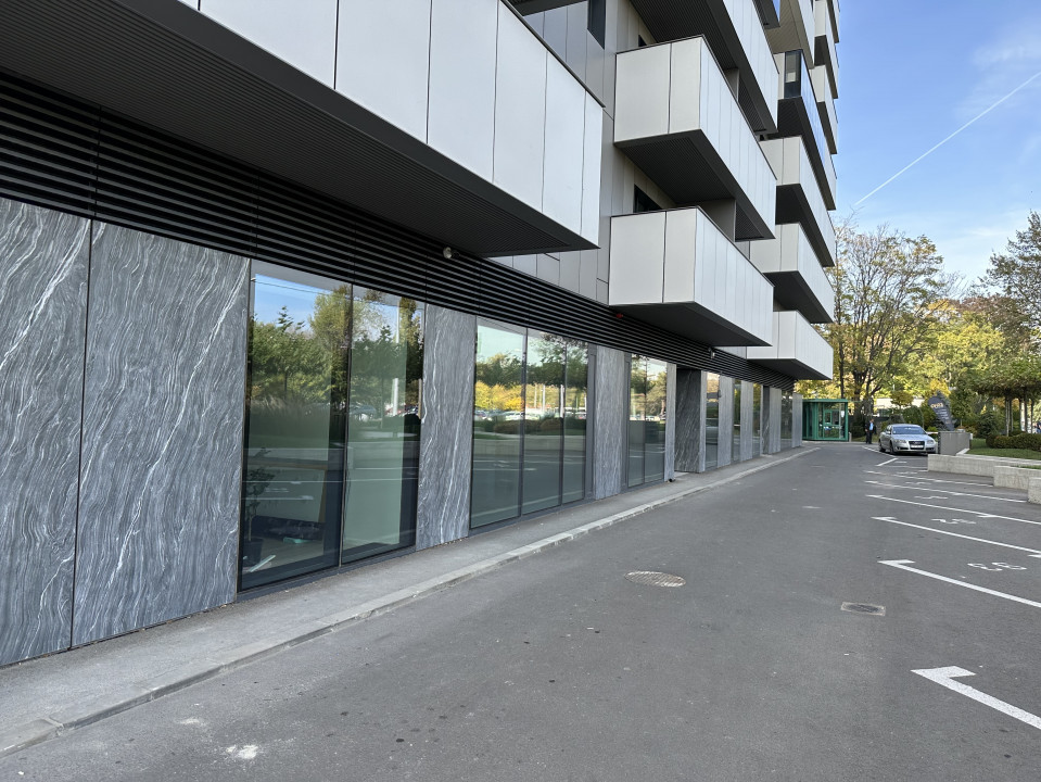 Spatiu comercial stradal Cortina Academy
