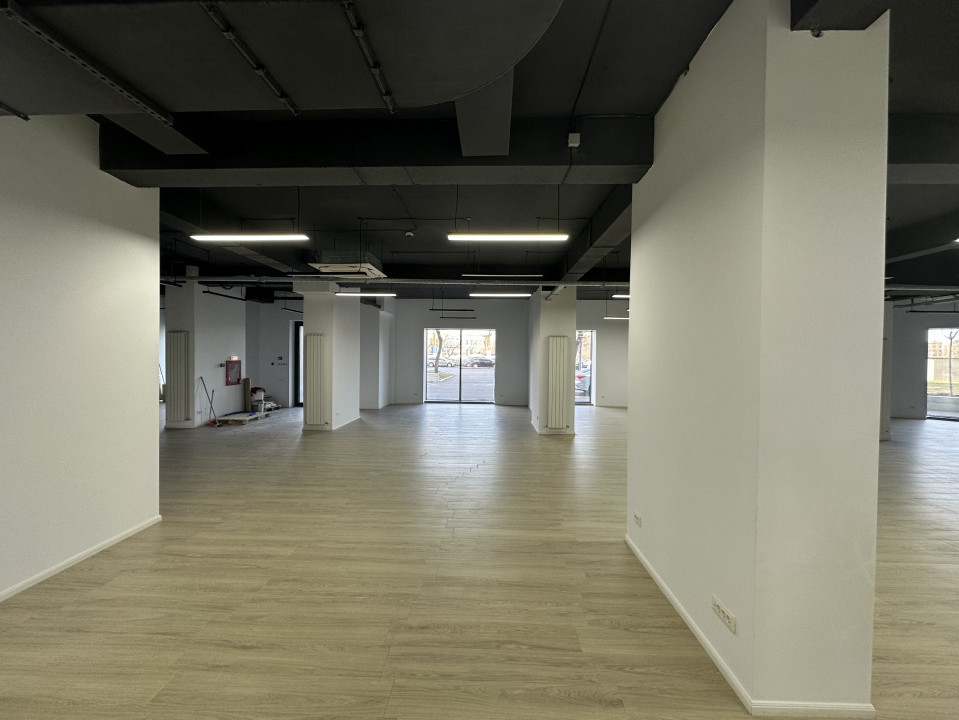 Spatiu comercial stradal Cortina Academy