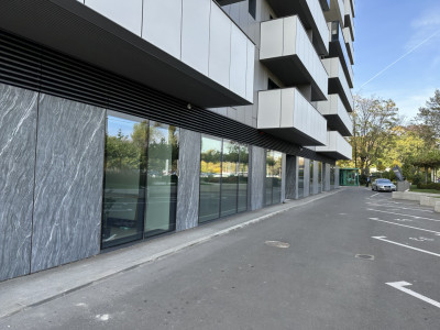 Spatiu comercial stradal Cortina Academy